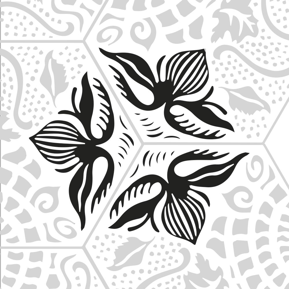 Dibujo alga Seaweed Starfish inspiracion Panot Gaudí Dibujo alga Seaweed Starfish inspiracion Panot Gaudí