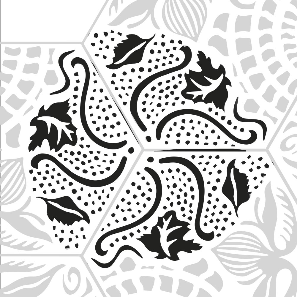 Dibujo estrella de mar Starfish inspiracion Panot Gaudí Dibujo estrella de mar Starfish inspiracion Panot Gaudí