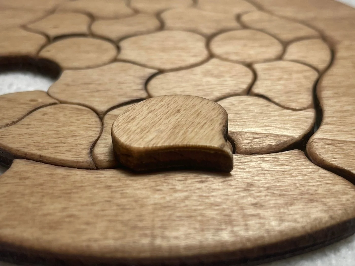 Primer plano de una pieza de madera natural separada del Puzzle Trencadís, con el encaje y los cantos visibles.